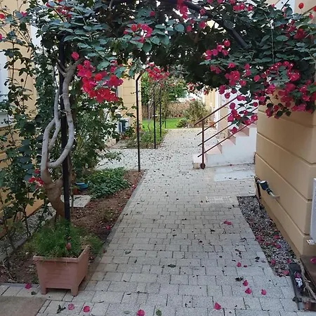 Apartment Tiny House With Pool Mountain View & 100mt To Sea. Agios Epiktitos